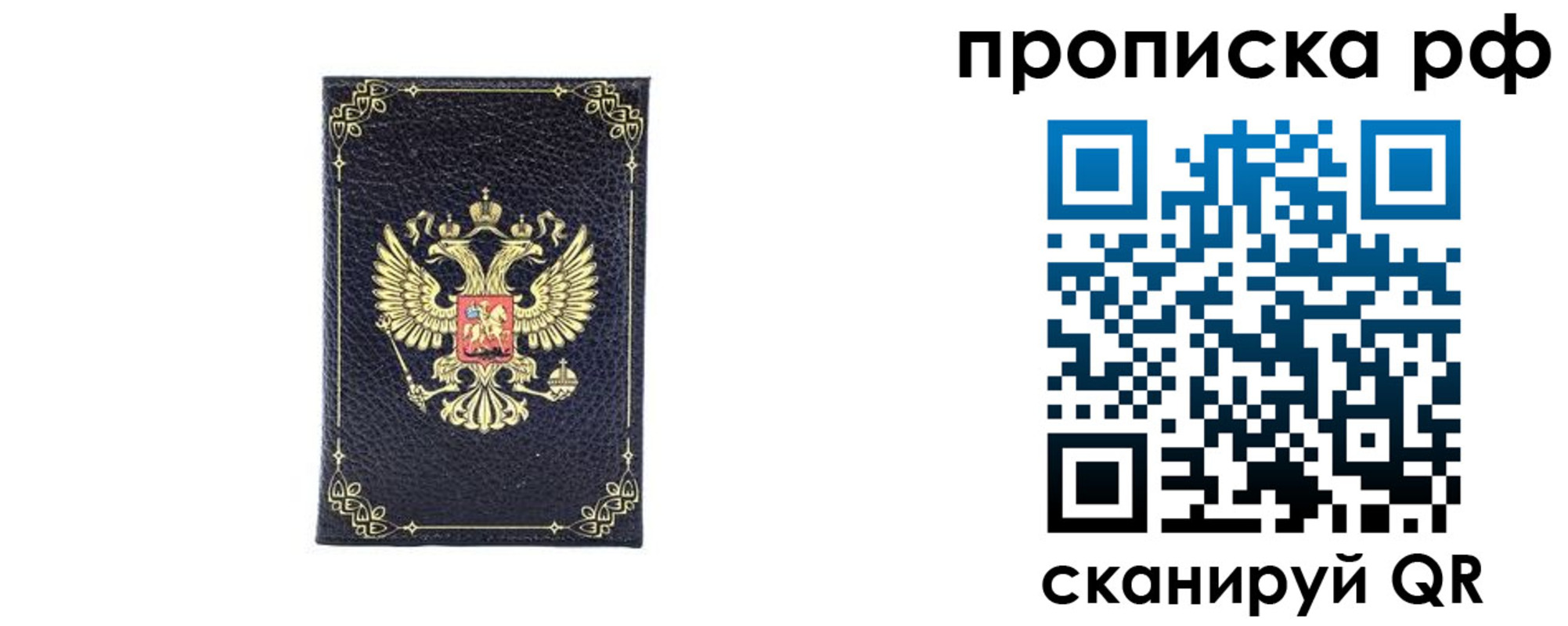 прописка для школы в Краснозаводске